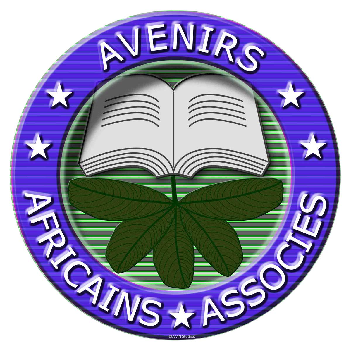 AVENIRS AFRICAINS ASSOCIES